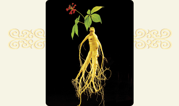Ginseng